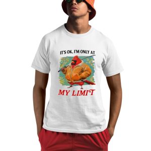 It’s Ok I’m Only At My Limit Shirt